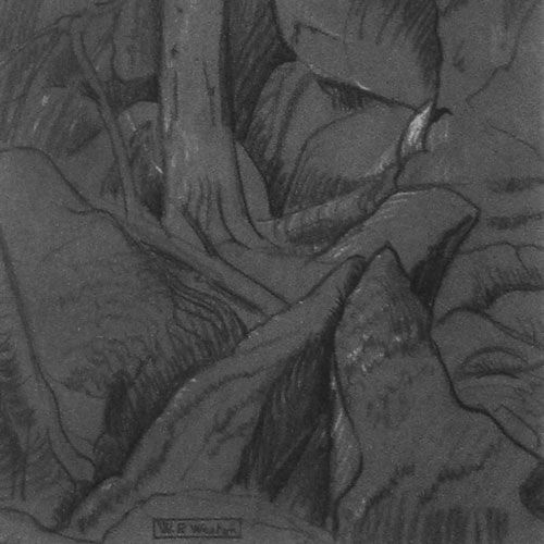 W.P. Weston Tree and Rocks Sketch